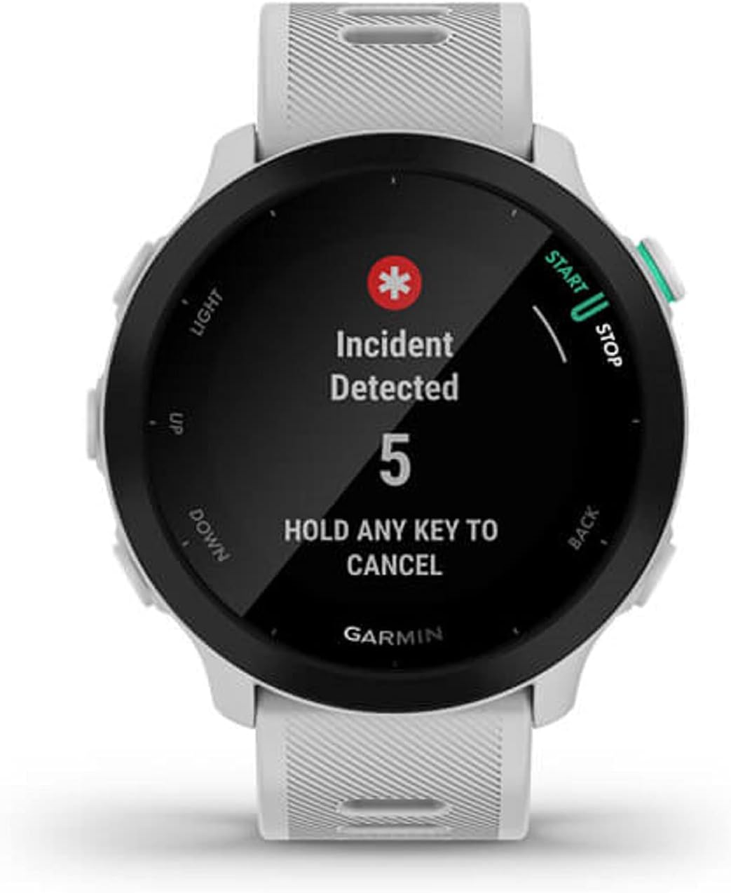 Garmin Forerunner 55, GPS Running Watch White