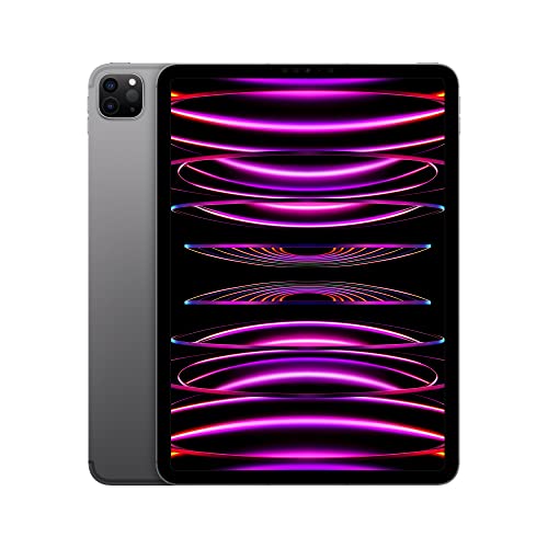 Apple iPad Pro 4th Gen 11" - Wi-Fi + Cellular - 256GB - Space Gray - Unlocked - MP573LL/A