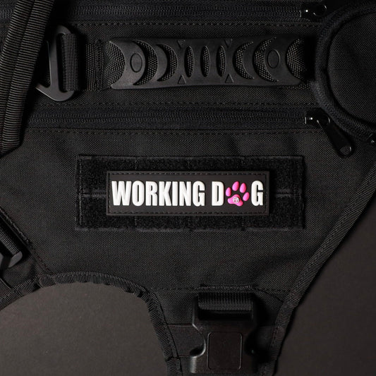 Working Dog w/ Pink Paw